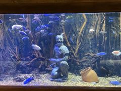 -西安华夏文旅水世界