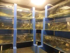 android_upload_pic-永安鱼庄·镇江菜(东吴路店)