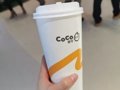 -CoCo都可(骆家庄新店)