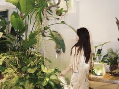 -荷兰花海