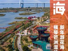 -芒洲湿地公园