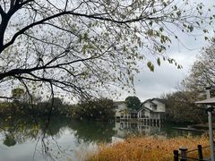 -新荣记(西溪湿地店)