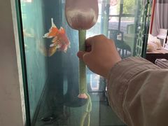 -盒马鲜生(丁香国际店)