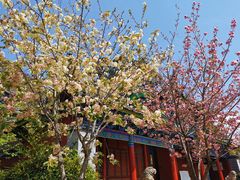 -黑龙潭公园