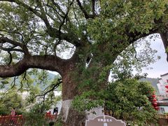 -新安江山水画廊风景区