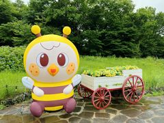-济州森林小火车生态公园