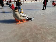 -绿野森林乐园冰雪季