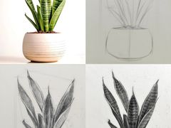 -谷隆画舍·国画书法素描彩铅水彩