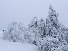 -瓦屋山景区