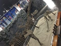 -吉林省自然博物馆