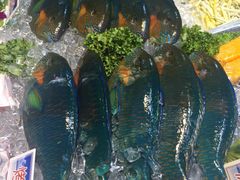 旅南活海鮮-旅南活海鲜-屏东(墾丁海鮮，海鮮餐廳，墾丁團體合菜，平價熱炒，墾丁熱炒店，活海鮮推薦，在地海鮮餐廳)