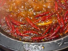 -蜀大侠火锅(总府路店)