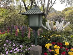 -秋霞圃