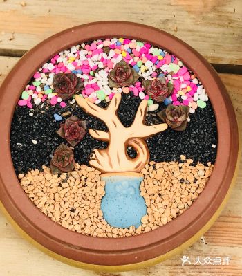 三月是春光明媚的季节，不同花期的鲜花争相绽放