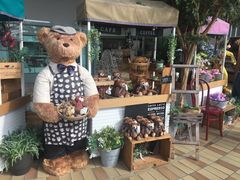 -济州岛泰迪熊博物馆