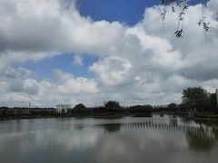 -上海鲜花港