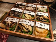 云南野菌九拼-芸鲜季·云南野生菌餐厅· 云南风物味研社(闵行店)