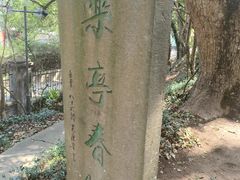 -蒋氏故居