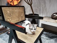 -seeu coffee(江滩店)