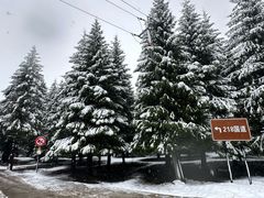 -新疆那拉提国家旅游度假区