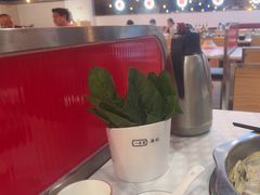 -八合里潮汕鲜牛肉火锅(吉大店)