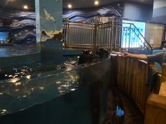 -锦艺城海洋馆