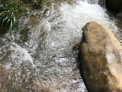 -鼎珑点心仔(燕塘店)