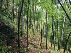 -藏龙百瀑风景区