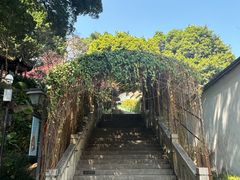 -乌山风景区
