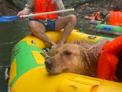 -安吉龙王山峡谷漂流