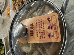 -百利鸽王(紫薇路店)