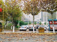 -西北大学(桃园校区)