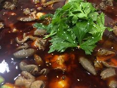 -时二崽肥肠鸡大排档(健康路店)