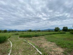 -野鸭湖国家湿地公园
