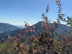 -大岭沟猕猴桃谷风景区
