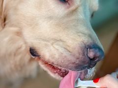 -年记·兴顺斋 牛街清真熟食小吃店