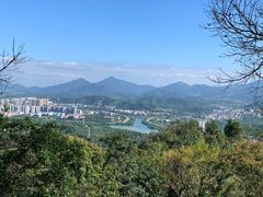 -风云岭森林公园
