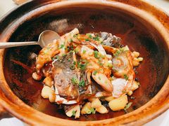 沙窝鱼头煲-沙龙酒家