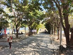 -洱海月湿地公园