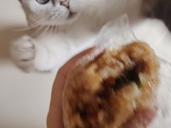 -六广门毛阿姨糯米饭