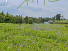 -白鹭湾湿地公园