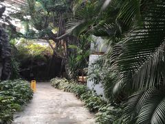 -龙达温泉生态城