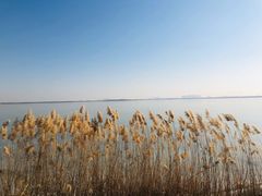 -天津东丽湖风景区
