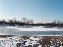 -东郊湿地公园