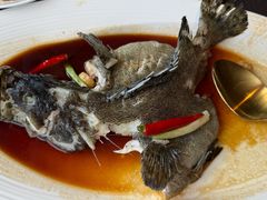 -南海渔村·徐博馆(琶洲店-粤菜养生宴)