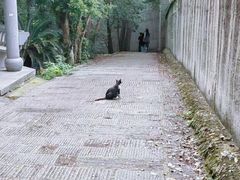 -宝通禅寺