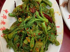 -西塔大冷面(市府大路店)