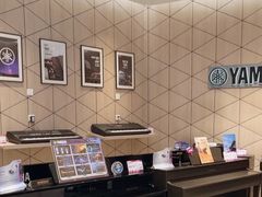 -知音艺术教育培训·钢琴培训·音乐培训(河西金鹰世界校区)