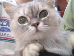 -万小咖.猫咖(中山路天虹店)