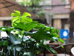 景观位-VESH COFFEE(定西路店)